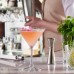 ΠΟΤΗΡΙ MARTINI TIMELESS 230ml